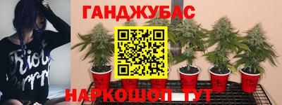 ГАЛЛЮЦИНОГЕННЫЕ ГРИБЫ Коломна