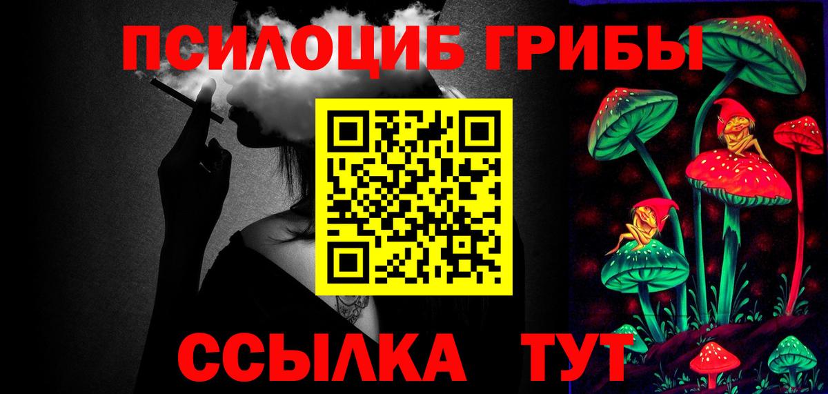 где можно купить наркотик  Псилоцибиновые грибы MAGIC MUSHROOMS  Галлюциногенные грибы GOLDEN TEACHER  Вход с VPN  Кириши 
