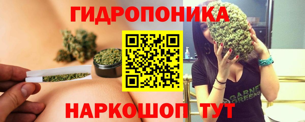 Кириши  Конопля AK-47  Шишки марихуана план  Вход с VPN 